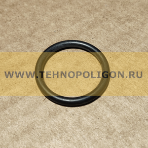 15502081 О-кольцо