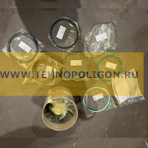 15600101 Рем. комплект